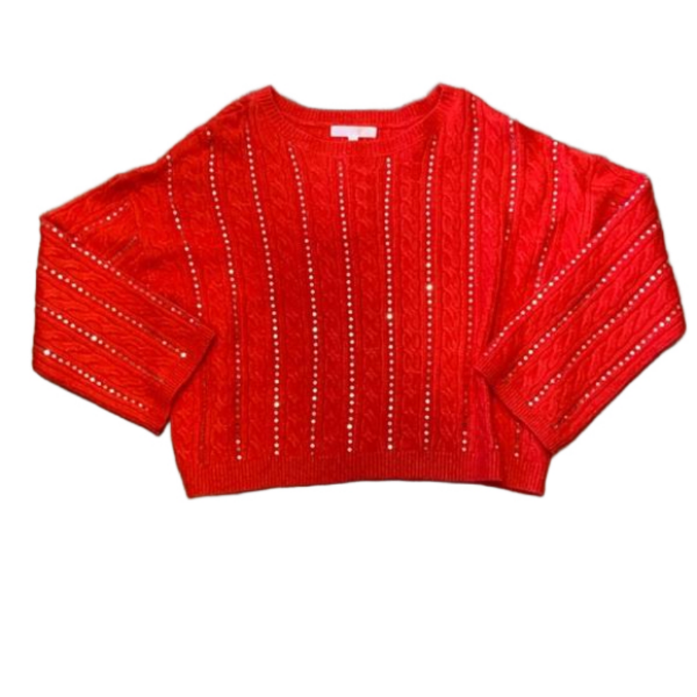 Adyson Parker NWT Pullover Sweater Racing Red Silver Sequins  Size Large